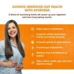 Maharishi Ayurveda Organic Gut Health (60Tab)