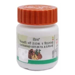 Divya Chitrakadi Vati (72g)