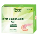 Divya Madhunashini Vati Extra Power (94g)