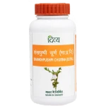 Divya Shankhpushpi Churna (100g)