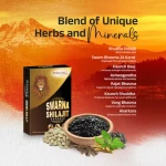 Swarna Shilajit - 10 Capsules