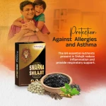 Swarna Shilajit - 10 Capsules