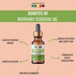 Organix Mantra Rosemary Essential Oil (15Ml)