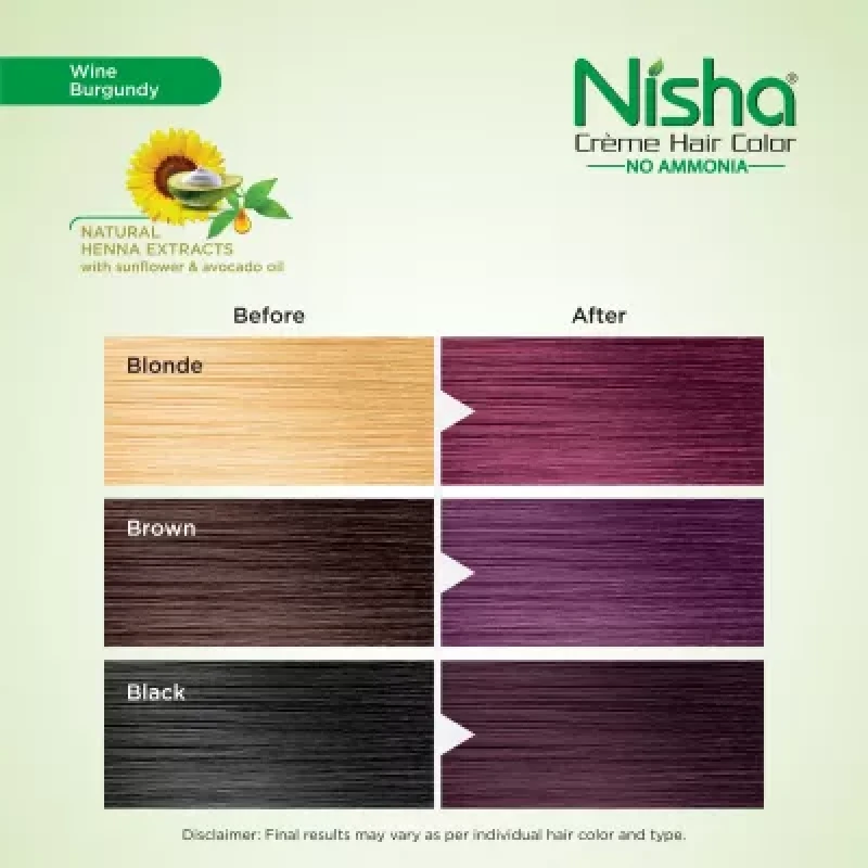 Nisha 5 Minutes Quick Color Henna Based Hair Color Natural Black (60G)