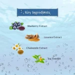 Lords Aqua Face Wash Enriched With Blueberry Aloe Vera 100ml