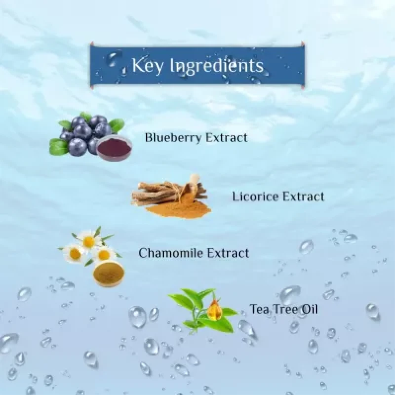 Lords Aqua Face Wash Enriched With Blueberry Aloe Vera 100ml