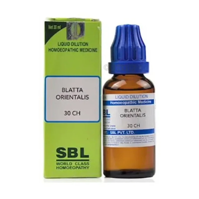 SBL Blatta Orientalis