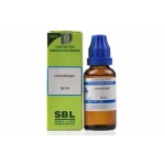 SBL Castor Equi