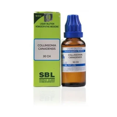 SBL Collinsonia Canadensis