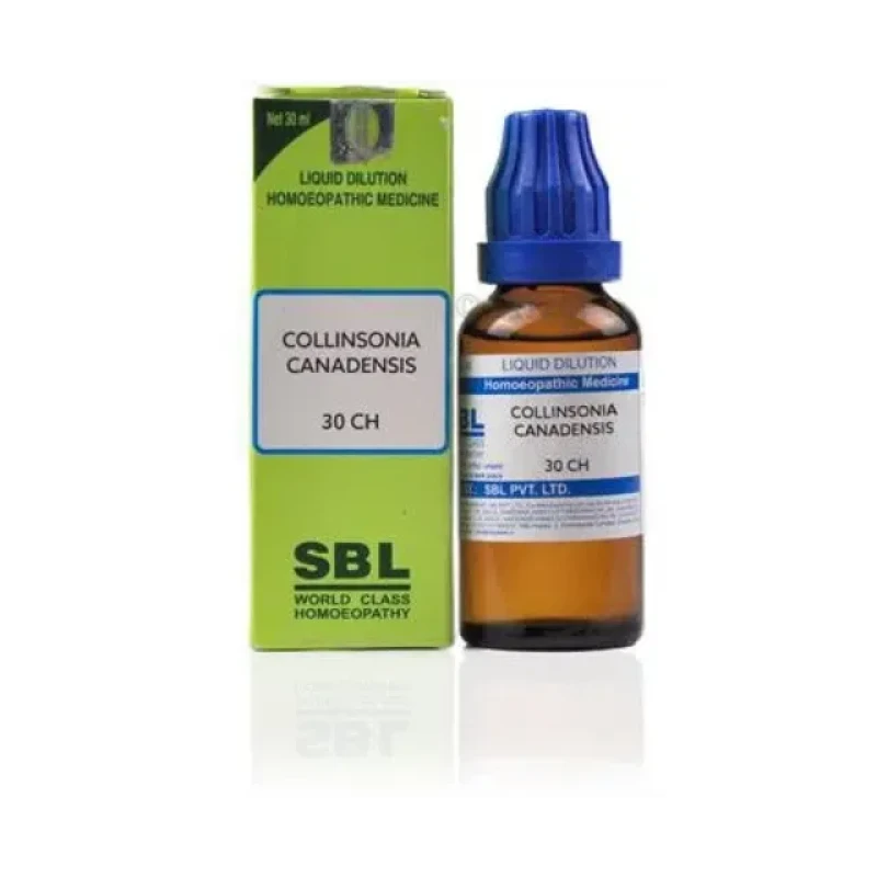 SBL Collinsonia Canadensis