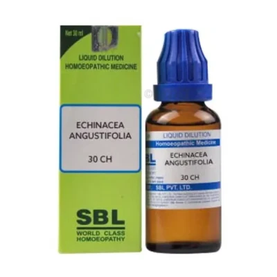 SBL Echinacea Angustifolia