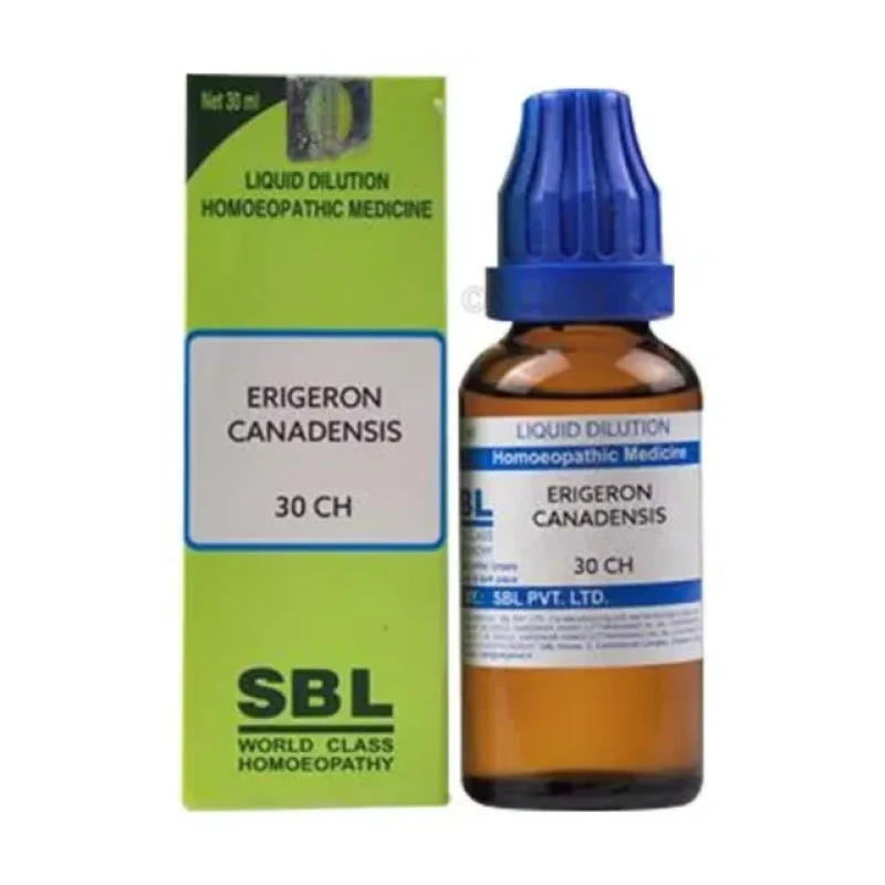 SBL Erigeron Canadensis