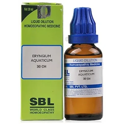 SBL Eryngium Aquaticum