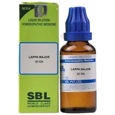 SBL Lappa Major