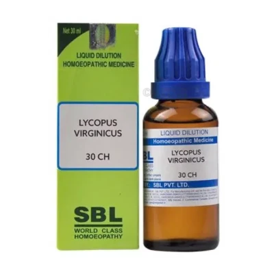 SBL Lycopus Virginicus