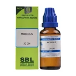 SBL Moschus