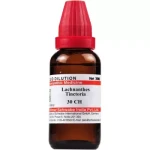 Dr Willmar Schwabe Lachnanthes Tinctoria