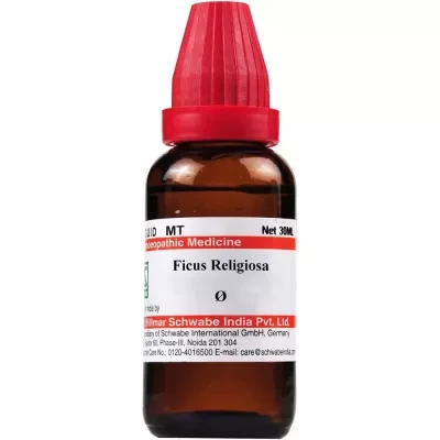 Willmar Schwabe India Ficus Religiosa 1X Q (30 ml)